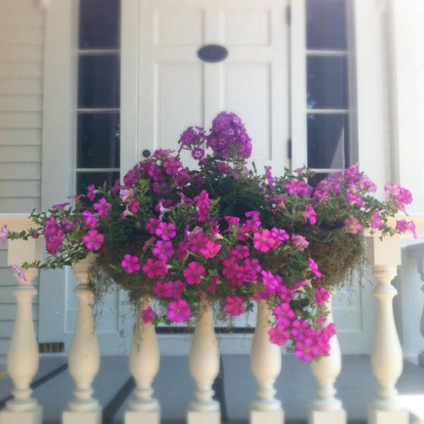 The Old Lyme Inn Экстерьер фото
